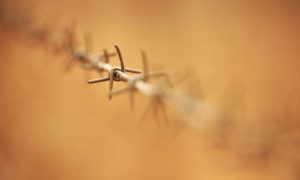 barbed-wire-438185_960_720